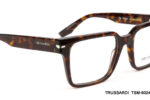TSM-6024-CG22-(55-19-145) TSM-6024-CG22-(55-19-145)