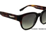 TSM-9009-CG22-(51-19-142)