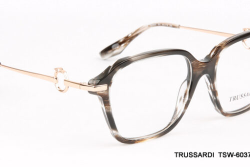 TSW-6037-CE01-(54-16-145)