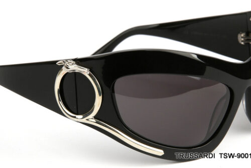 TSW-9001-CA01-(65-22-120) TSW-9001-CA01-(65-22-120)