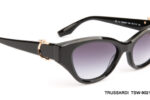 TSW-9021-CA02-(55-18-145) TSW-9021-CA02-(55-18-145)