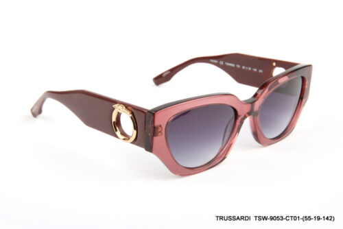 TSW-9053-CT01-(55-19-142) TSW-9053-CT01-(55-19-142)