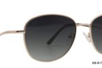 ES-S-7113-C01-(58-18-145) ES-S-7113-C01-(58-18-145)